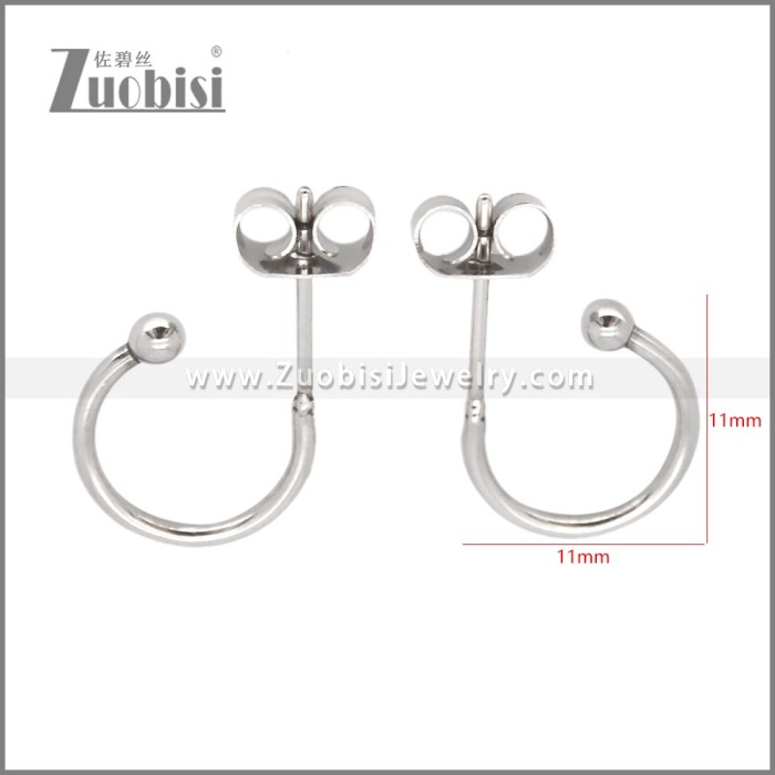 Stainless Steel Earrings e002647
