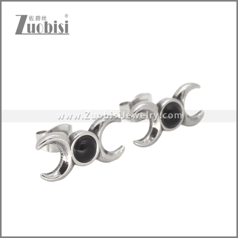 Stainless Steel Earrings e002639S2