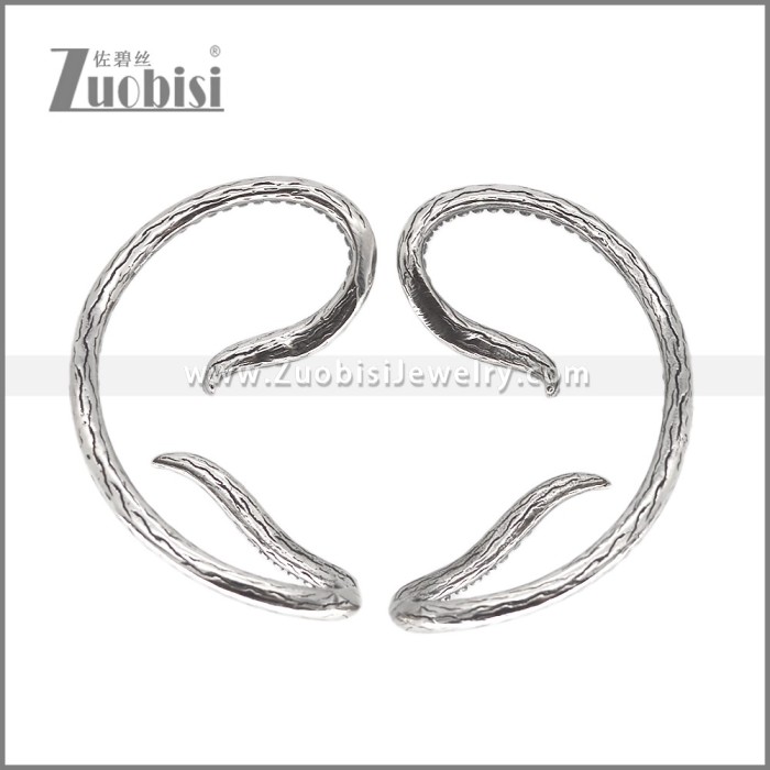 Stainless Steel Earrings e002652