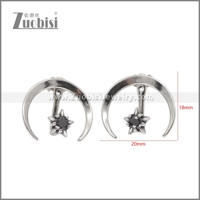 Stainless Steel Earrings e002633