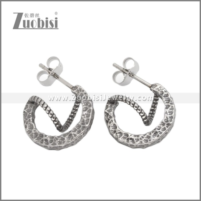 Stainless Steel Earrings e002641