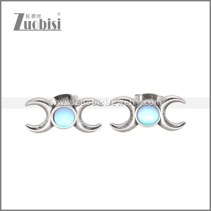 Stainless Steel Earrings e002639S1