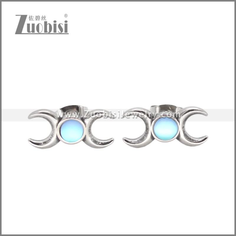 Stainless Steel Earrings e002639S1