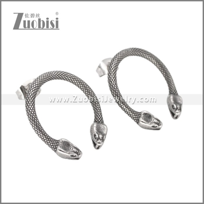 Stainless Steel Earrings e002632