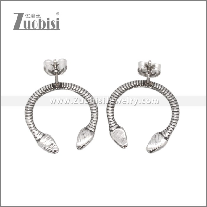 Stainless Steel Earrings e002632