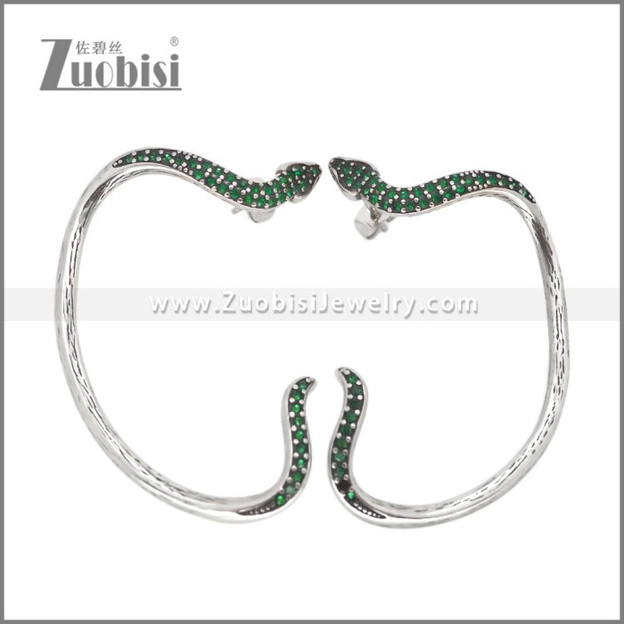 Stainless Steel Earrings e002621B