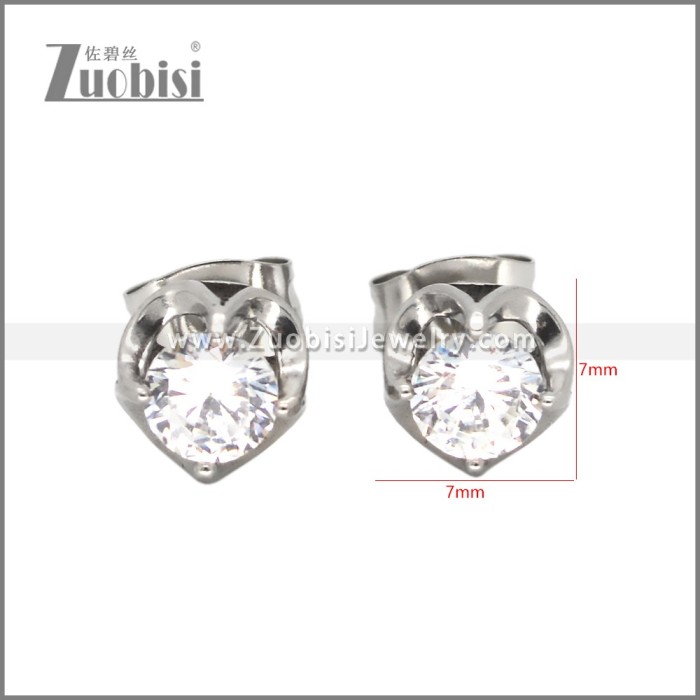 Stainless Steel Earrings e002648S