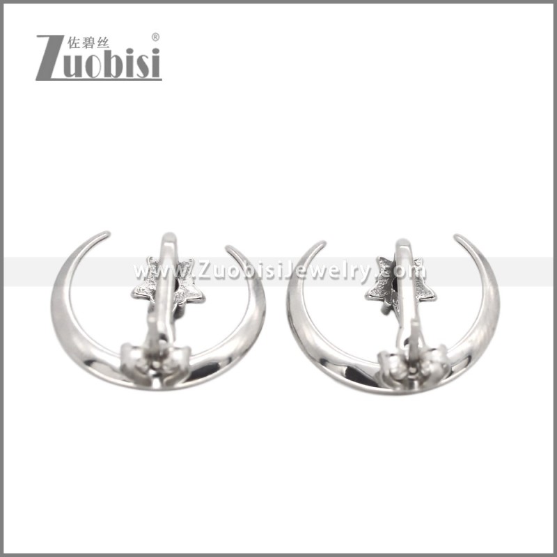 Stainless Steel Earrings e002633