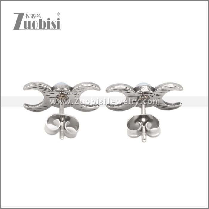 Stainless Steel Earrings e002639S2