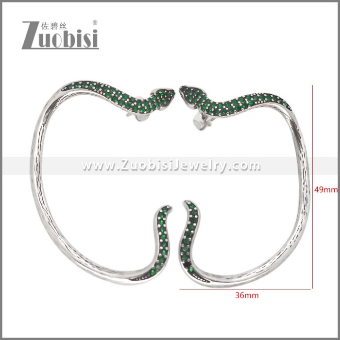 Stainless Steel Earrings e002621B