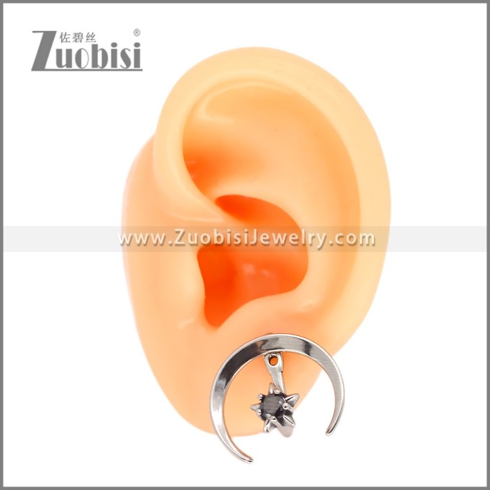 Stainless Steel Earrings e002633