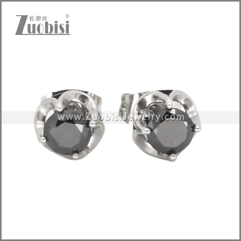 Stainless Steel Earrings e002648SH