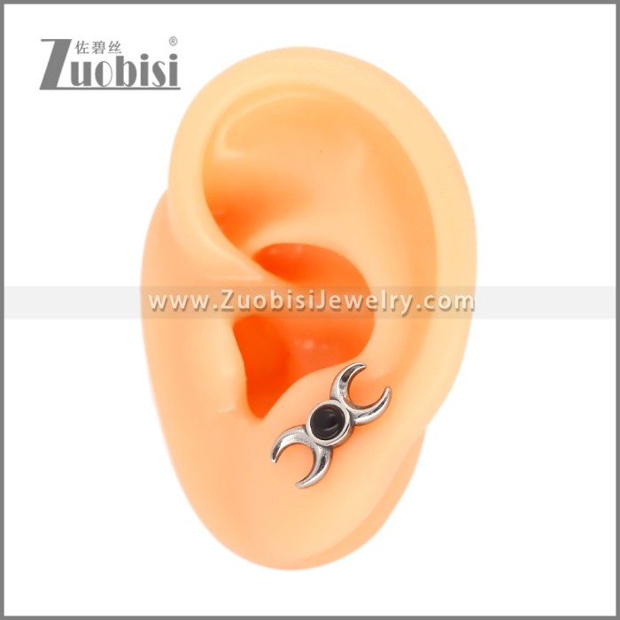 Stainless Steel Earrings e002639S2