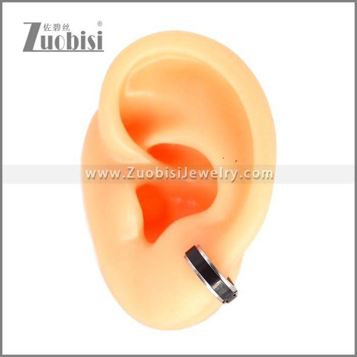 Stainless Steel Earring e002663