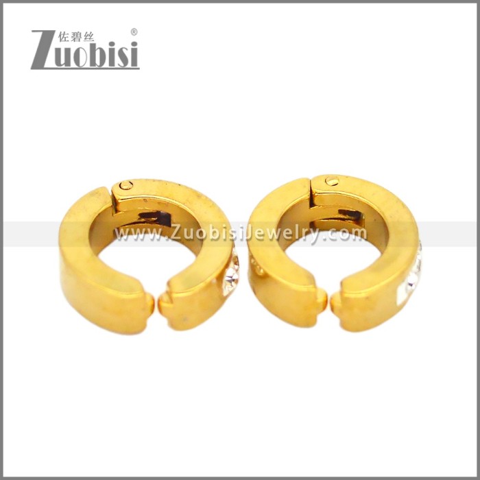 Stainless Steel Earring e002676