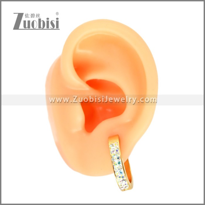 Stainless Steel Earring e002666