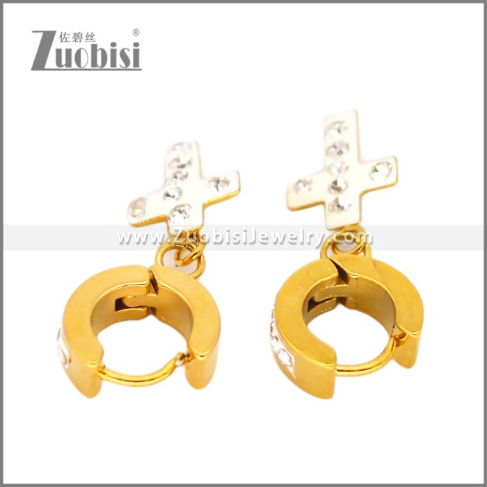 Stainless Steel Earring e002679