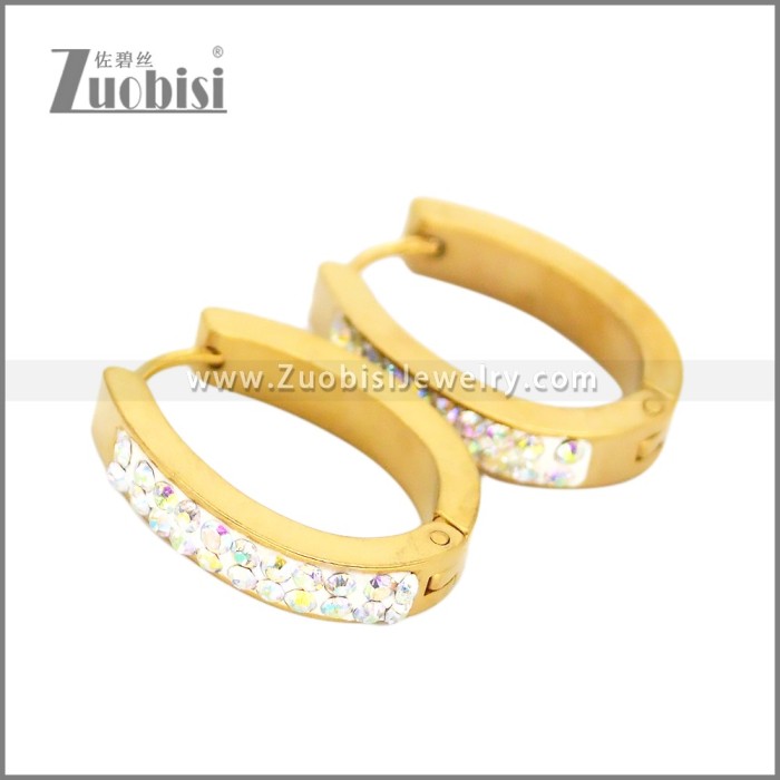 Stainless Steel Earring e002666