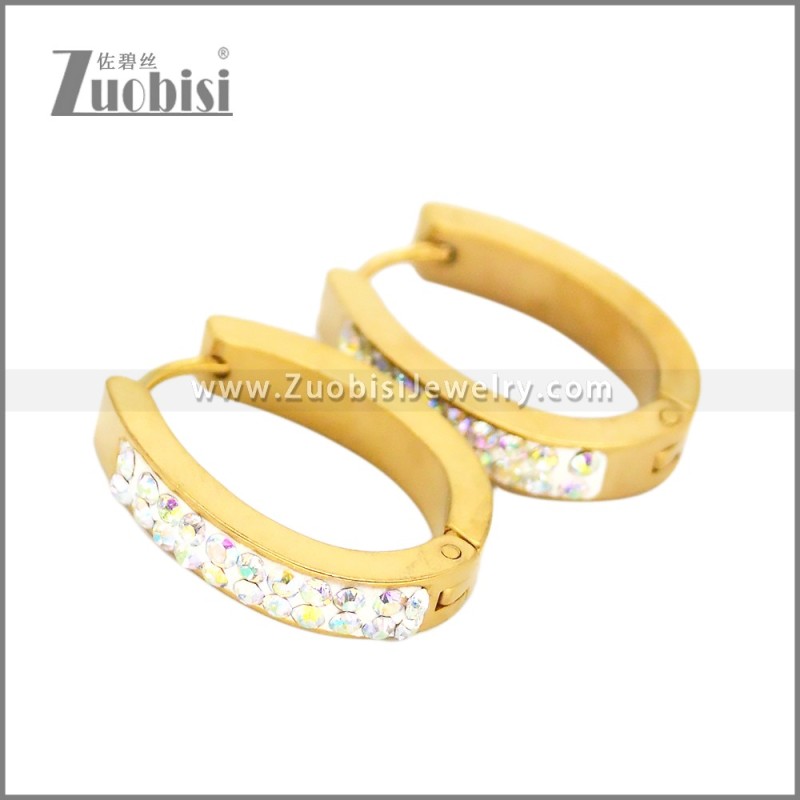 Stainless Steel Earring e002666
