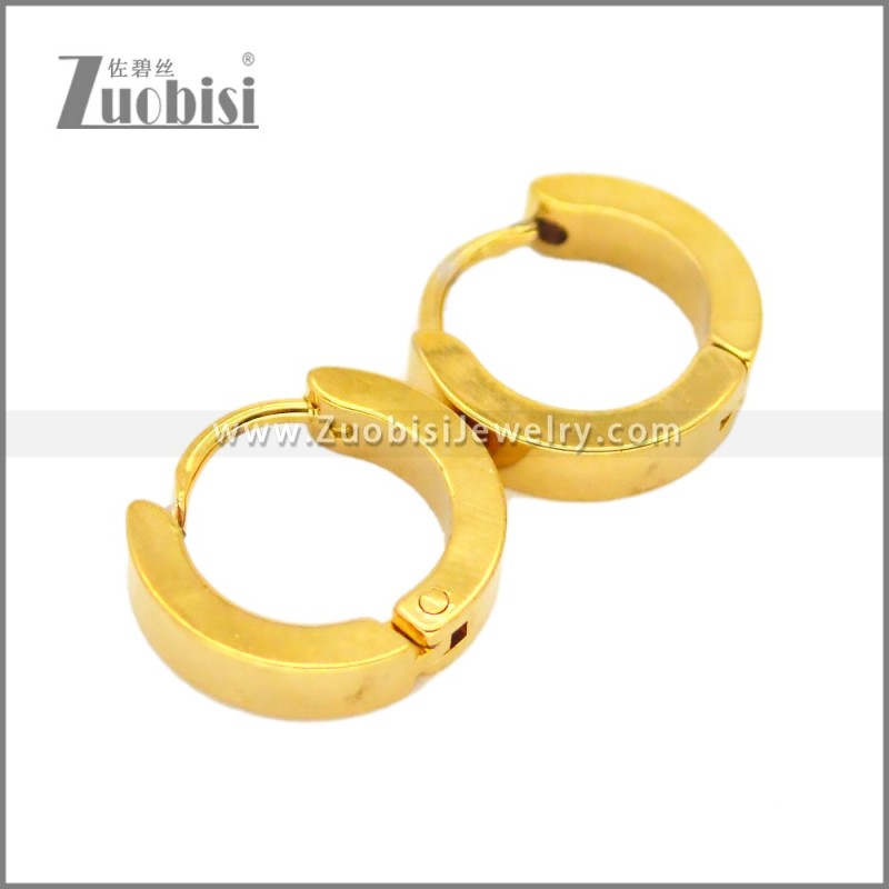 Stainless Steel Earring e002684