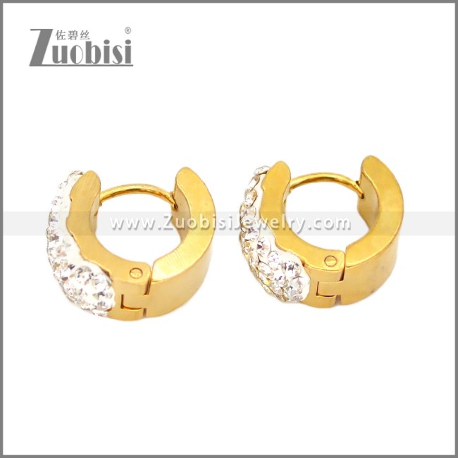 Stainless Steel Earring e002677