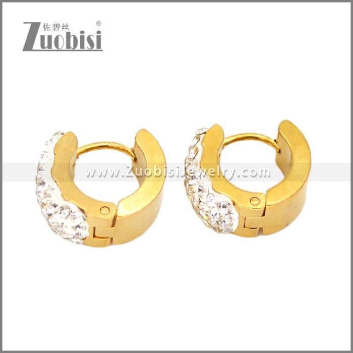 Stainless Steel Earring e002677