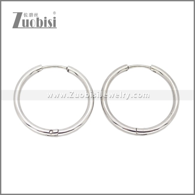Stainless Steel Earring e002662