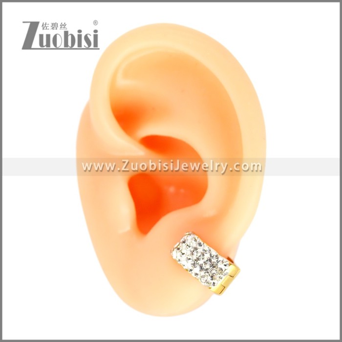 Stainless Steel Earring e002677