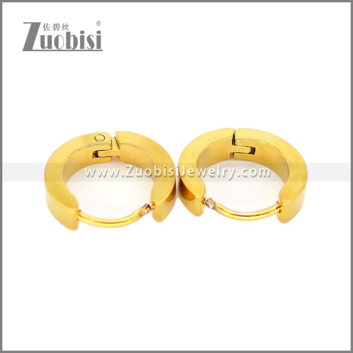 Stainless Steel Earring e002684