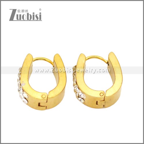 Stainless Steel Earring e002664