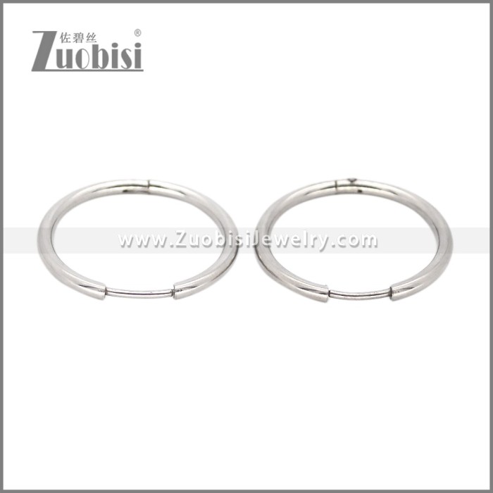 Stainless Steel Earring e002662