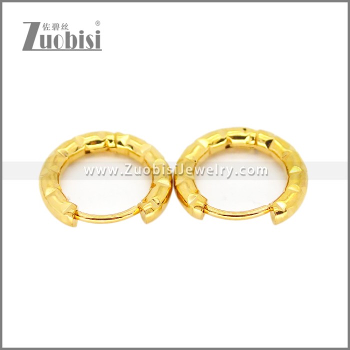 Stainless Steel Earring e002682