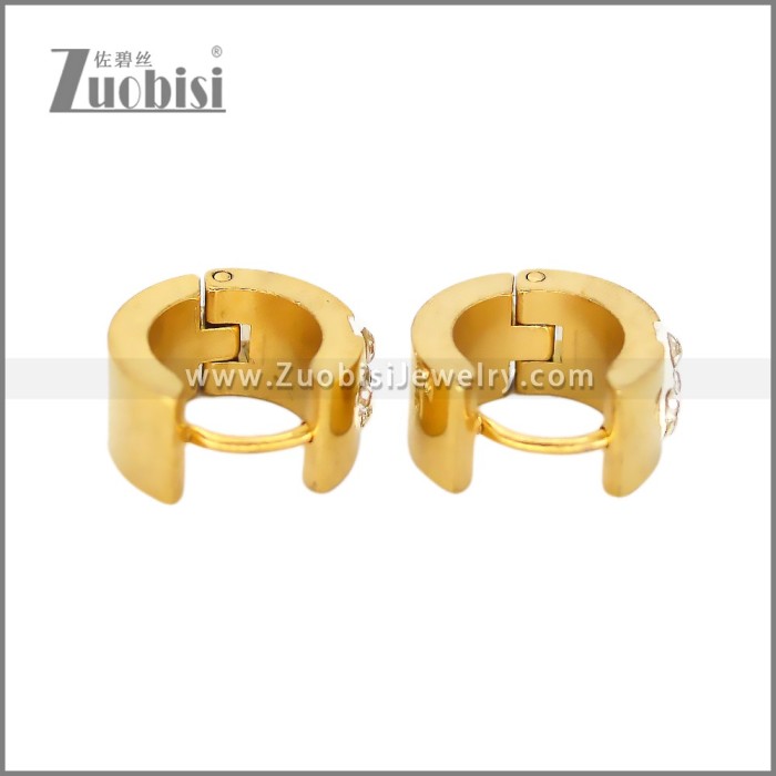 Stainless Steel Earring e002678