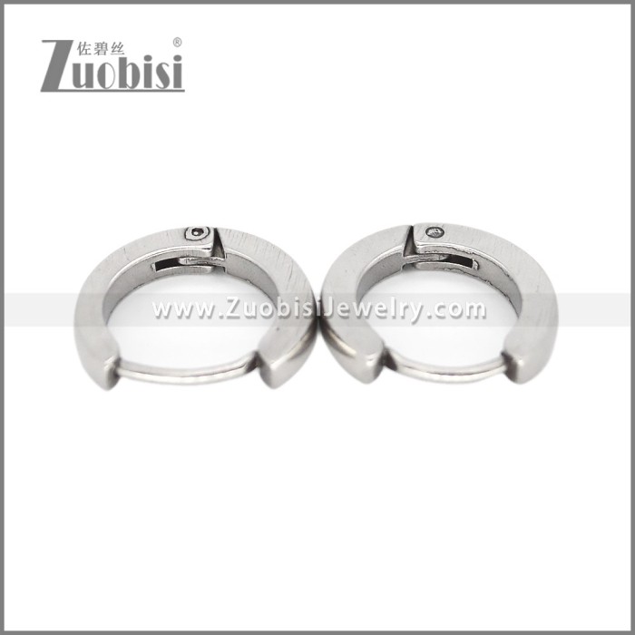 Stainless Steel Earring e002668