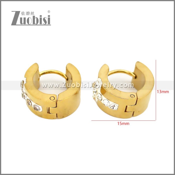 Stainless Steel Earring e002678