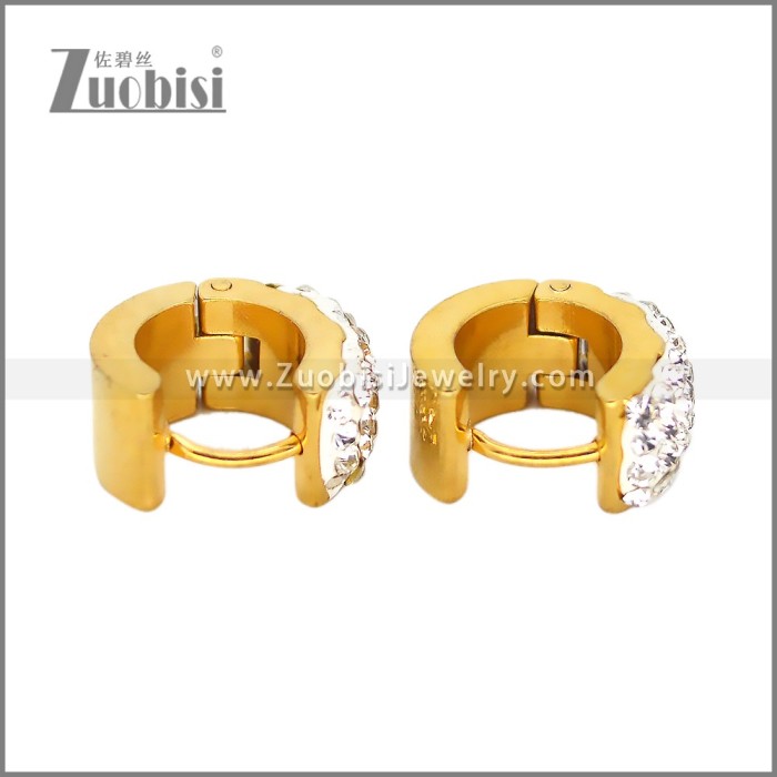 Stainless Steel Earring e002677