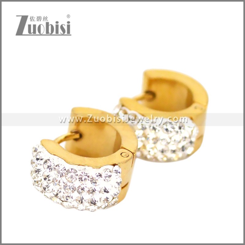 Stainless Steel Earring e002677