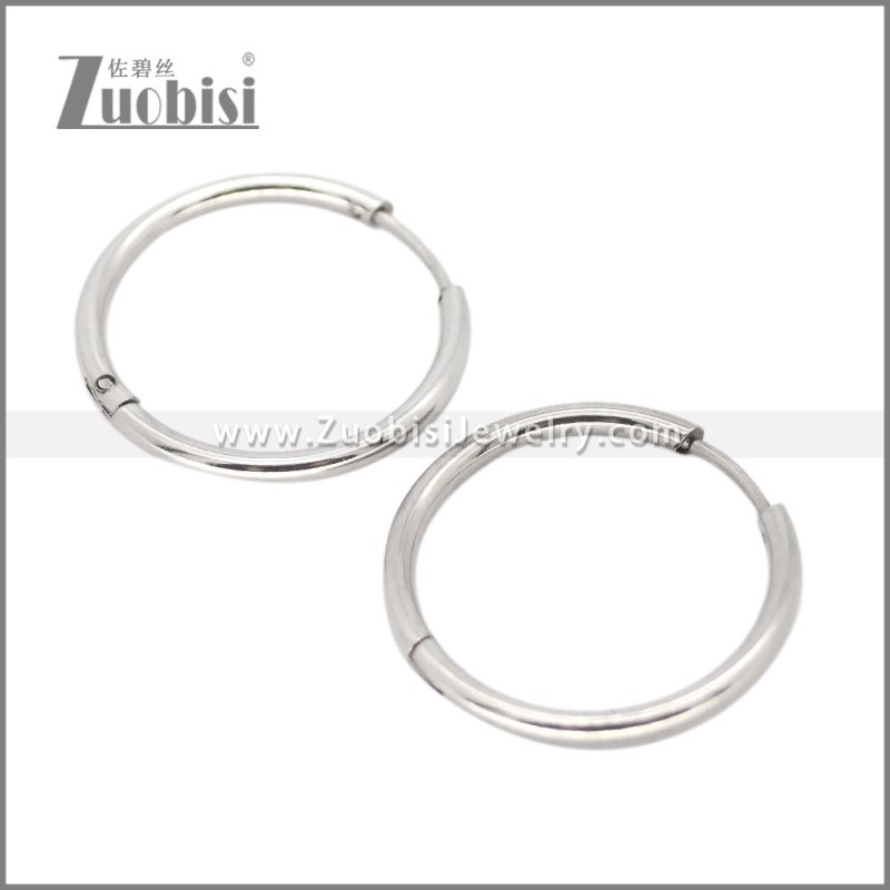 Stainless Steel Earring e002662