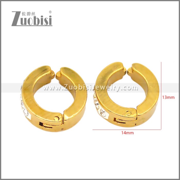 Stainless Steel Earring e002676