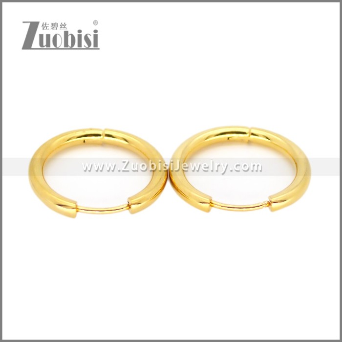 Stainless Steel Earring e002667