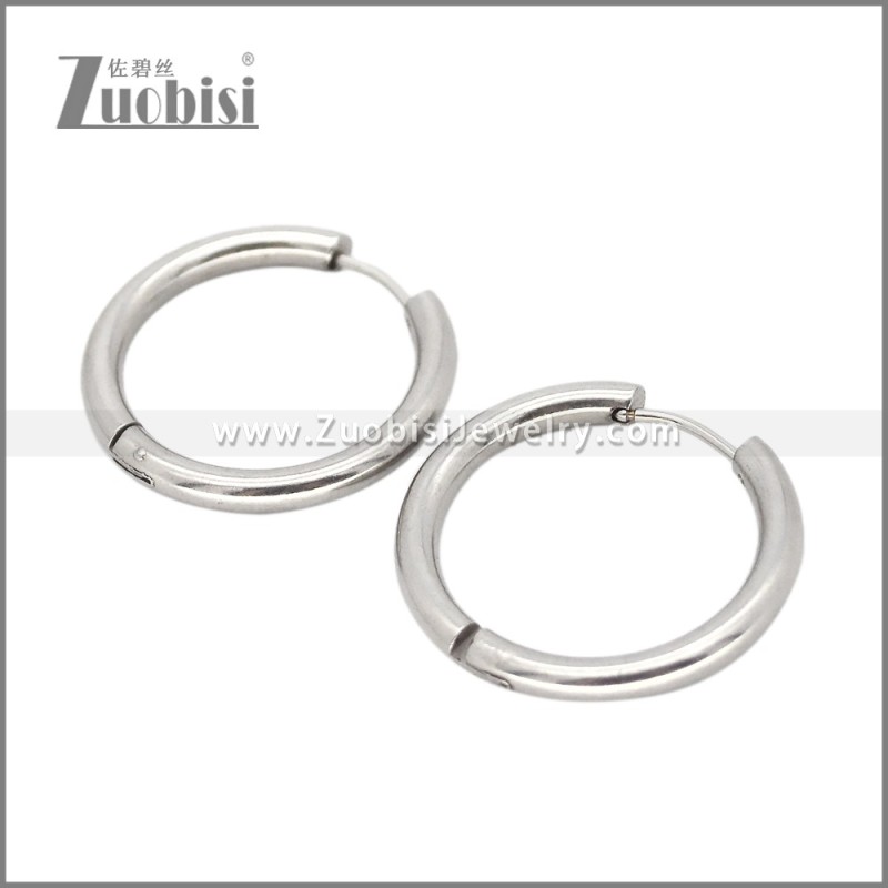 Stainless Steel Earring e002661