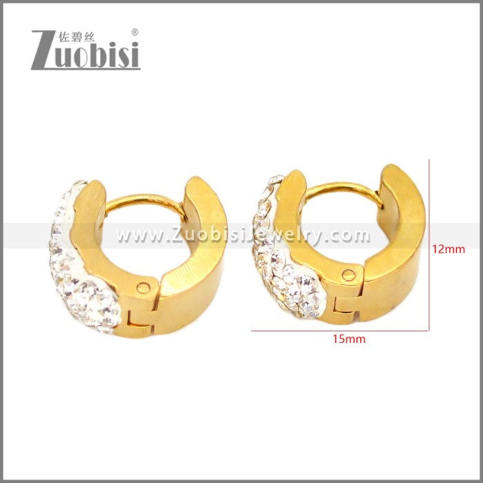 Stainless Steel Earring e002677