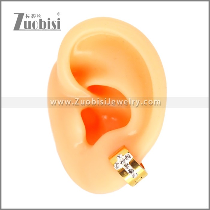 Stainless Steel Earring e002678