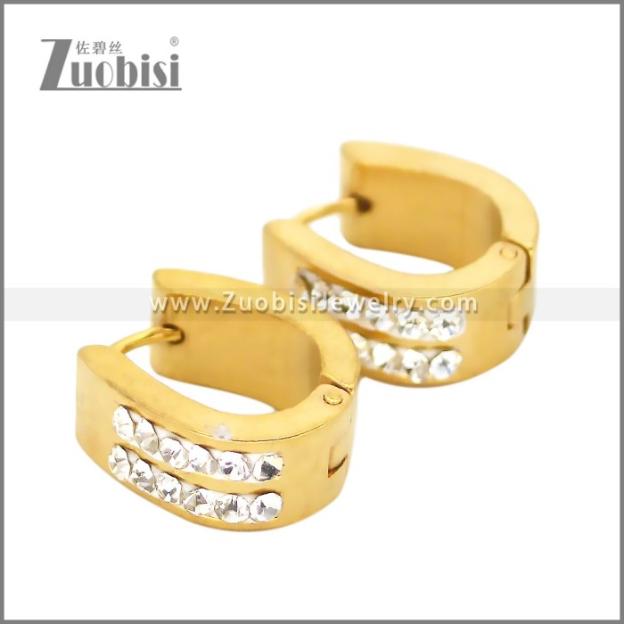 Stainless Steel Earring e002664