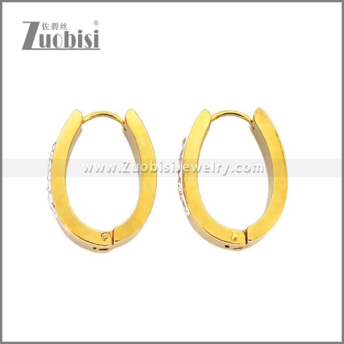 Stainless Steel Earring e002656