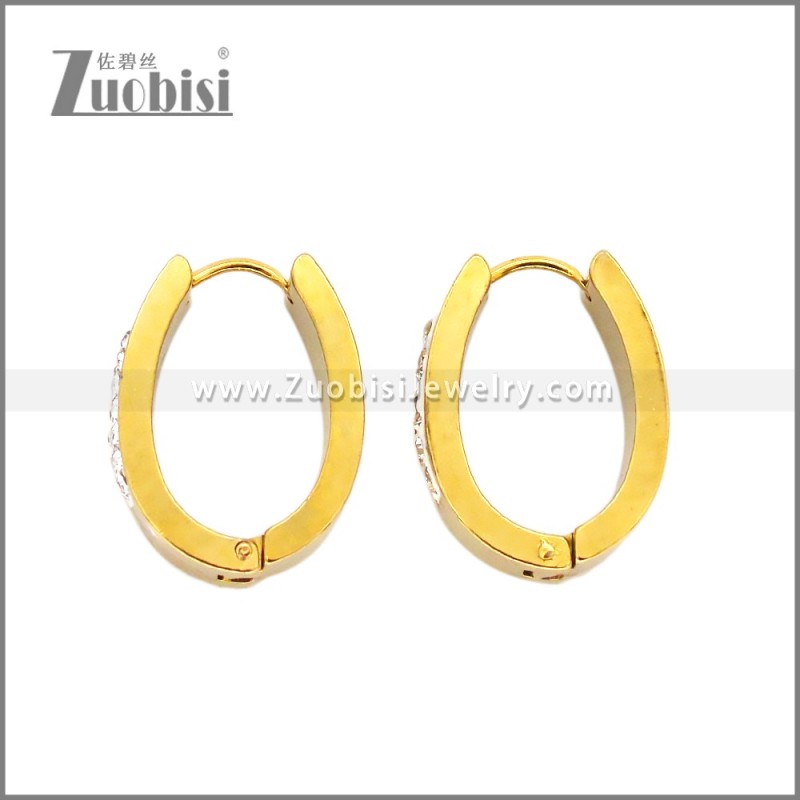 Stainless Steel Earring e002656