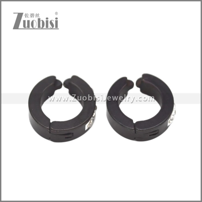 Stainless Steel Earring e002689