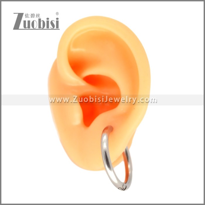 Stainless Steel Earring e002661