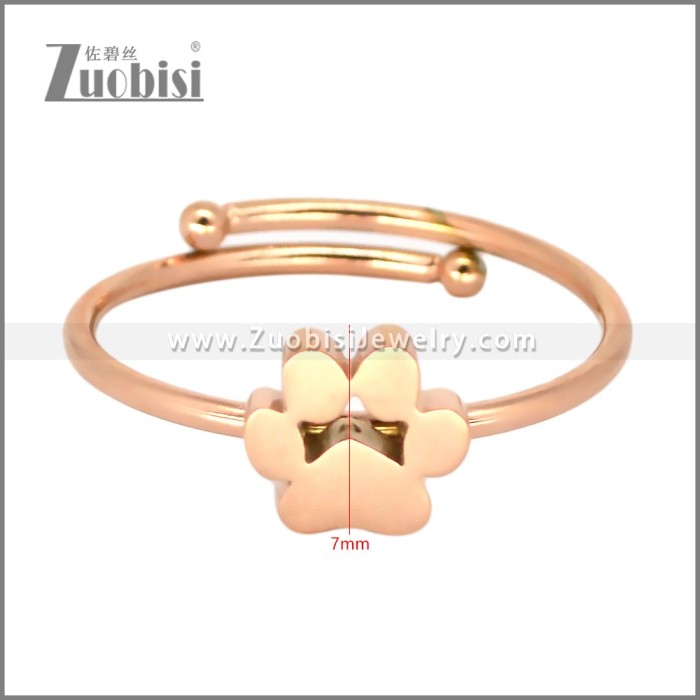 Stainless Steel Ring r010234R