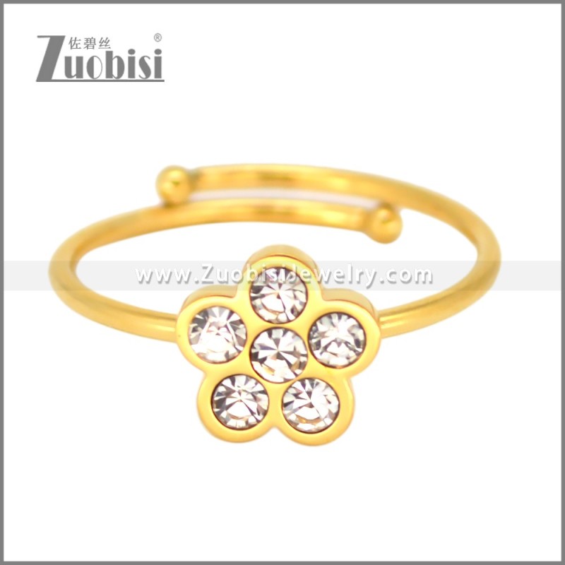 Stainless Steel Ring r010237R